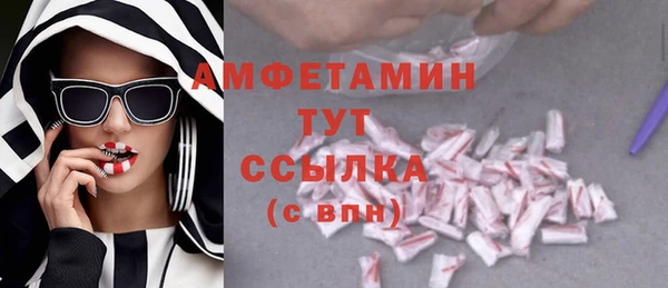 первитин Бикин