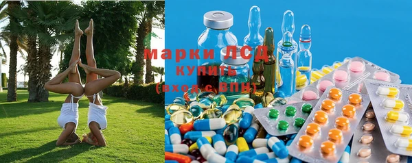 молекула духа Билибино
