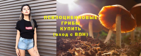 мескалин Заводоуковск