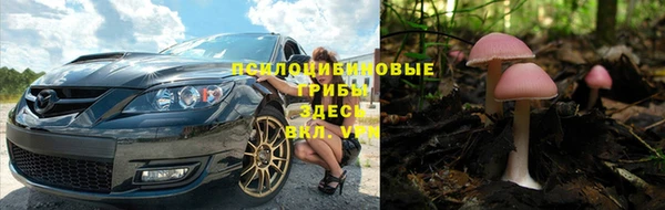 мескалин Заводоуковск