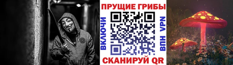 Галлюциногенные грибы прущие грибы  Кимовск 